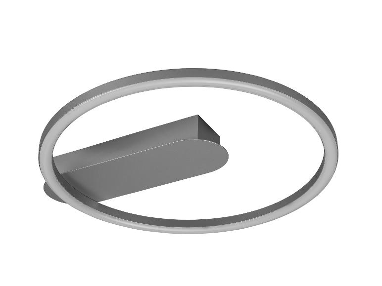 Moderne ovale LED plafondlamp in zilverkleur