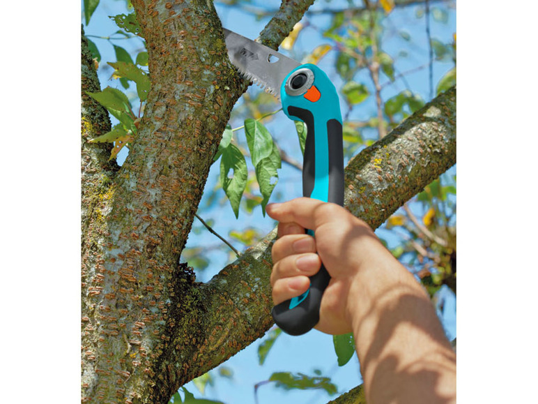 Een hand die een takkenschaar gebruikt om een tak van een boom te snoeien.