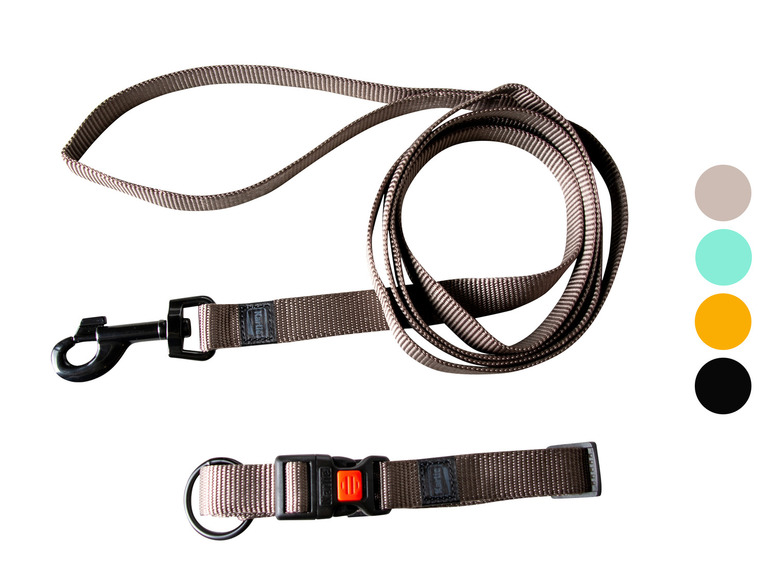 Een bruine hondenriem met een zwarte karabijnhaak en een bruine halsband met een zwarte gesp.