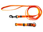 Een oranje hondenriem en halsband