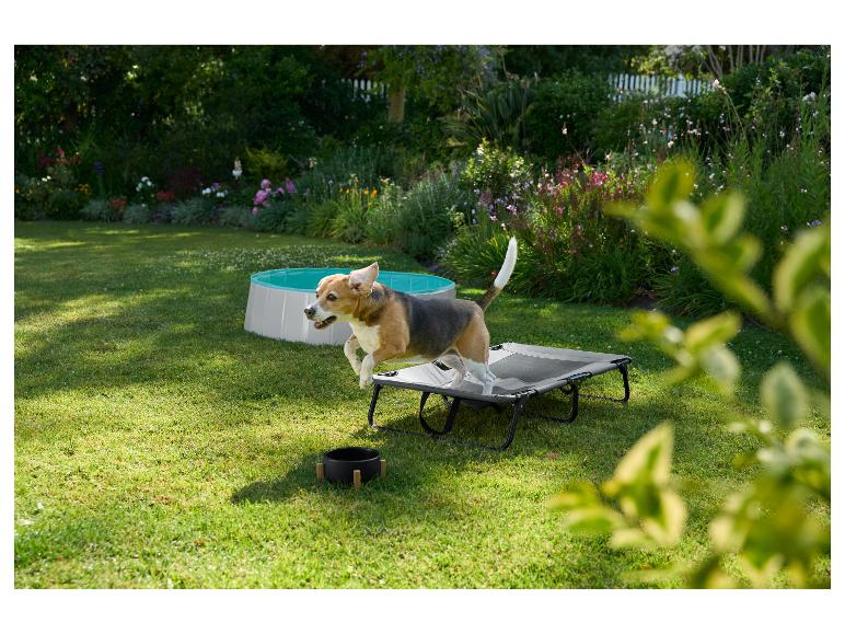 Beagle springt op een verhoogd hondenbed, met een hondenbad op de achtergrond.