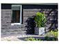 Zwarte houten muur, raam en pot met groene plant buiten.