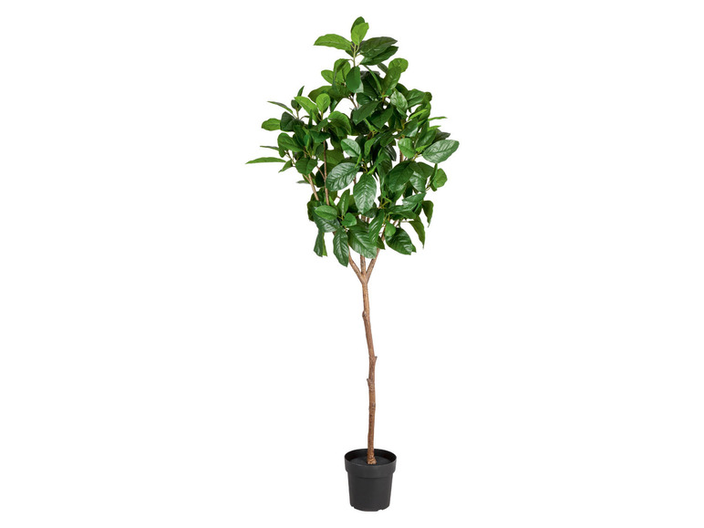 Ga naar volledige schermweergave: LIVARNO home Kunstplant Magnolia, 190 cm - afbeelding 1