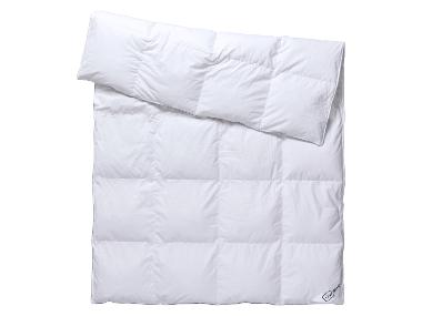 Lidl-shop LIVARNO® Donzen dekbed 140 x 200 cm aanbieding