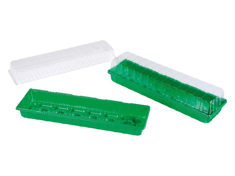 Groene zaaikist met doorzichtig deksel.