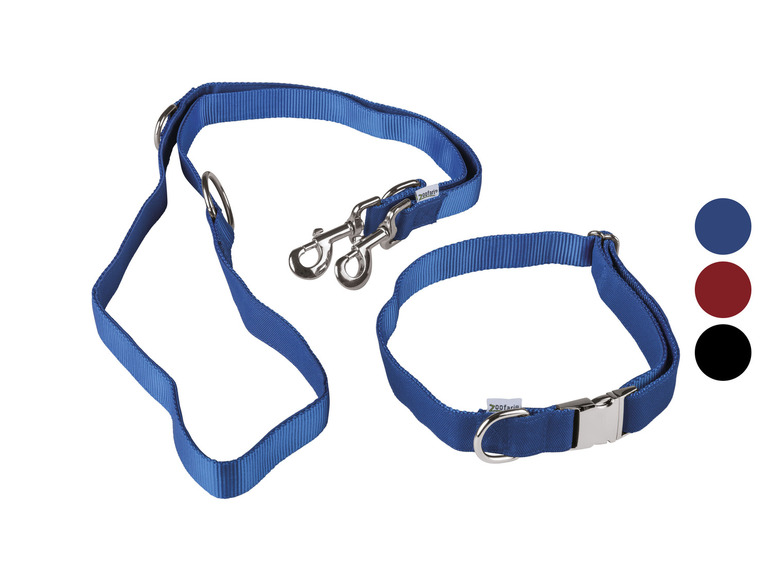 Een blauwe hondenriem en halsband van ZooFari.