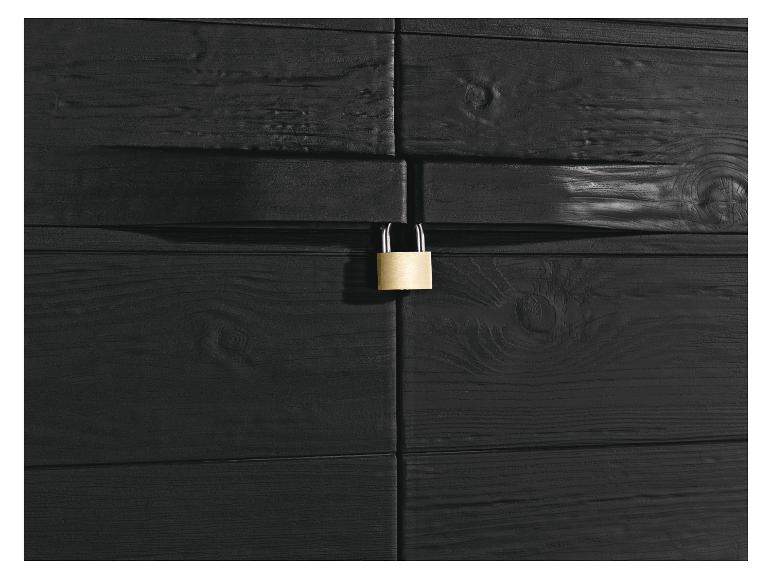 Gouden hangslot op een zwarte houten deur