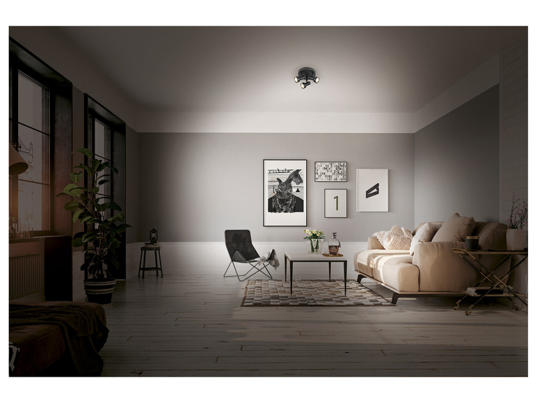 Ga naar volledige schermweergave: LIVARNO home LED-plafondlamp - afbeelding 8