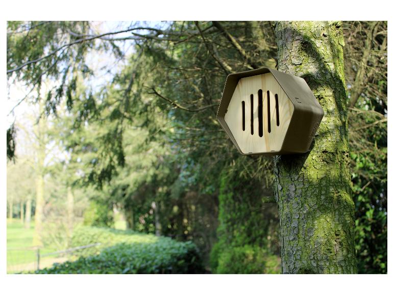 Zeshoekig insectenhotel op boomstam in zonnige tuin.