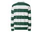 Groen-wit gestreept rugby shirt met lange mouwen, achterkant.