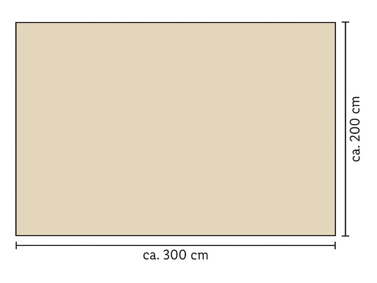 Afmetingen groot beige tapijt: ca. 300 cm x 200 cm.