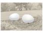 Twee witte eivormige tuinlampen op boomschors met planten op de achtergrond.