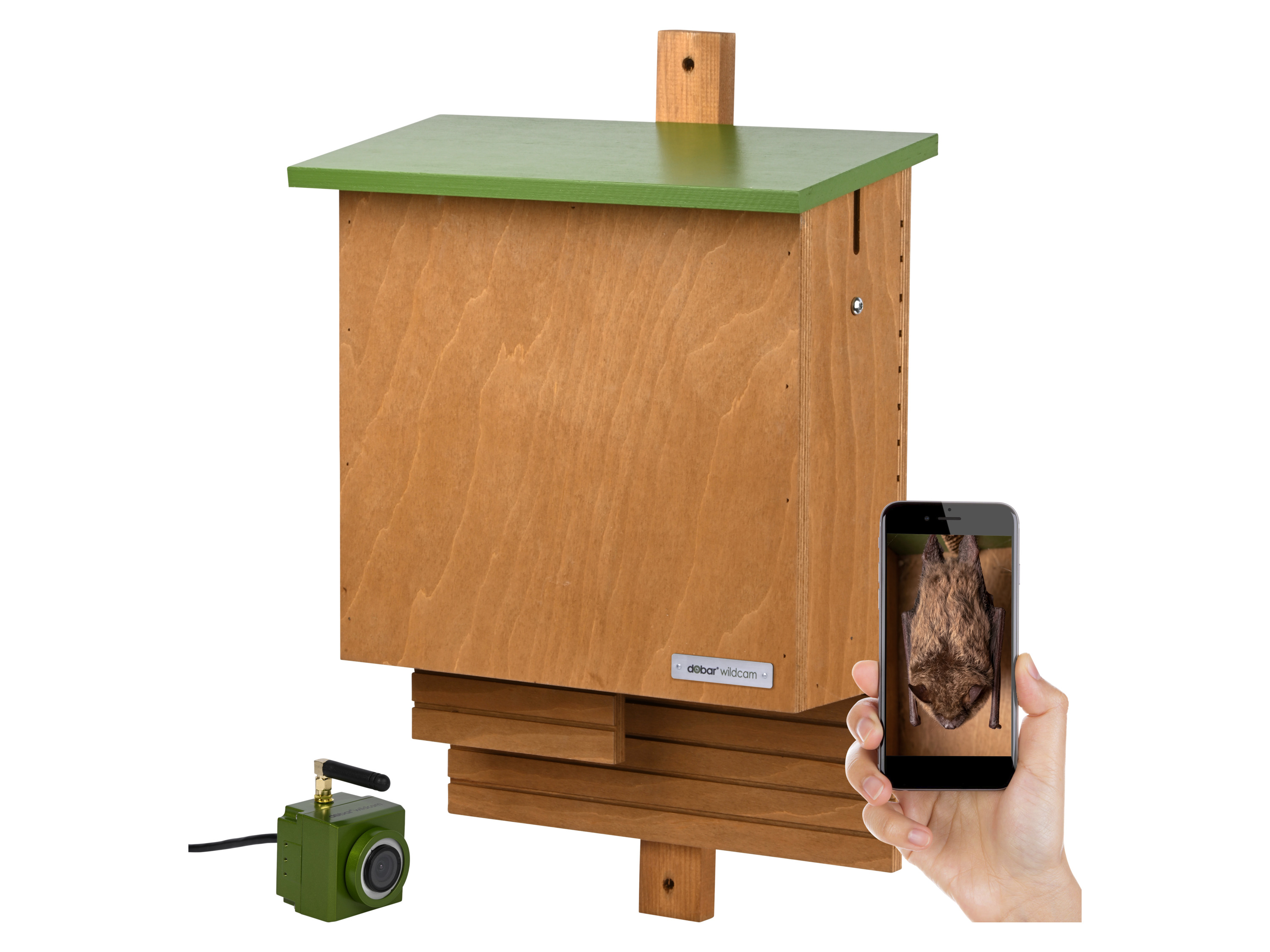 DOBAR Vleermuiskast Digi, met wifi-camera en app