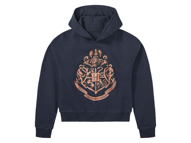 Ga naar volledige schermweergave: Harry Potter kinder hoodie - afbeelding 4