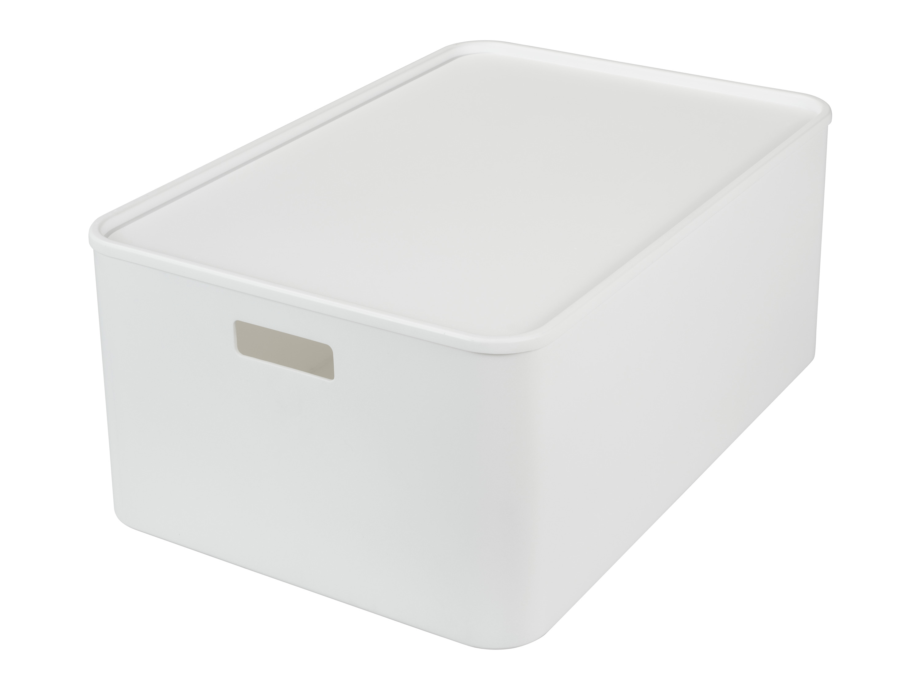 W5 Opbergbox met deksel 30 L afbeelding