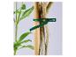 Groene plantenclip bevestigt stengel aan bamboestok