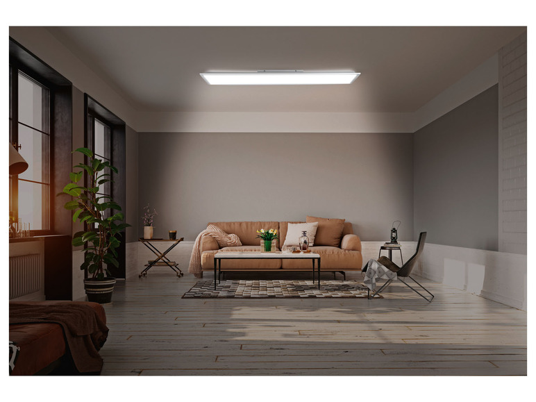 Ga naar volledige schermweergave: LIVARNO home Plafondlamp - afbeelding 17