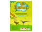 Kleurboek met kleurplaten van Triceratops, Stegosaurus en Tyrannosaurus Rex.