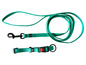 Een groene hondenriem en een halsband met een zwarte gesp en een rode knop.