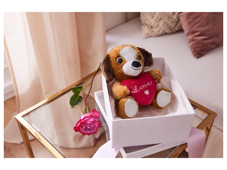 Een pluche hond met een hart in een witte doos op een glazen tafel.