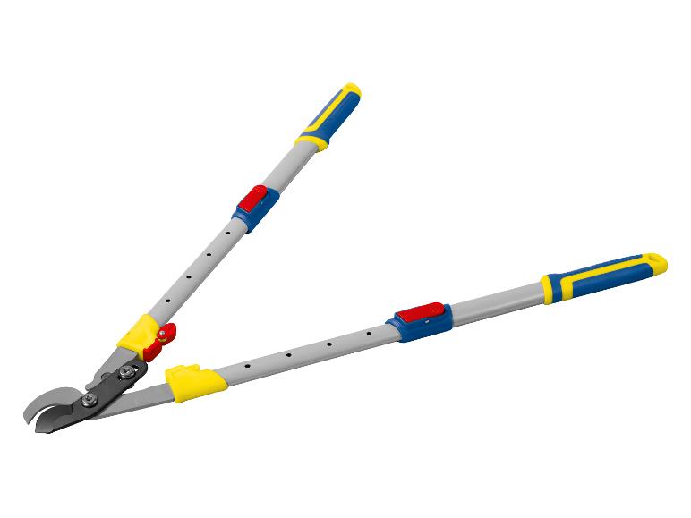 Telescopische takkenschaar in blauw, geel en rood.