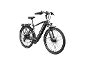 Zwarte elektrische fiets met bagagedrager en wit logo op het frame.