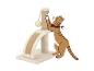 Krabpaal met een beige kat die speelt met een hangend speeltje.