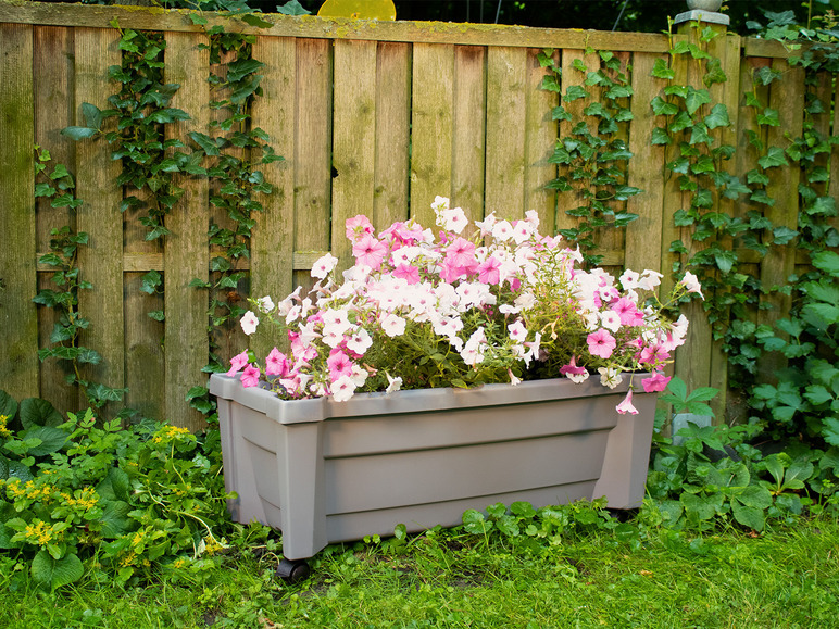 Bloembak met roze en witte petunia's voor een houten schutting.