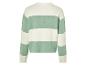 Wit-groene gestreepte trui.