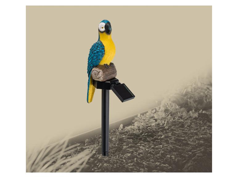 Papegaai zonnelamp in een tuinomgeving