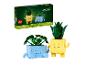 LEGO Botanicals Happy Plants set met twee bouwbare planten in schattige potten.