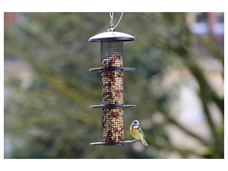 Vogelvoederhuisje met pinda's en een pimpelmees.