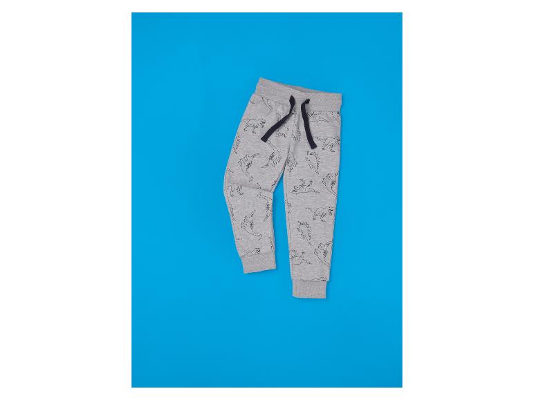 Grijze kinder joggingbroek met dinosaurusprint op een blauwe achtergrond.