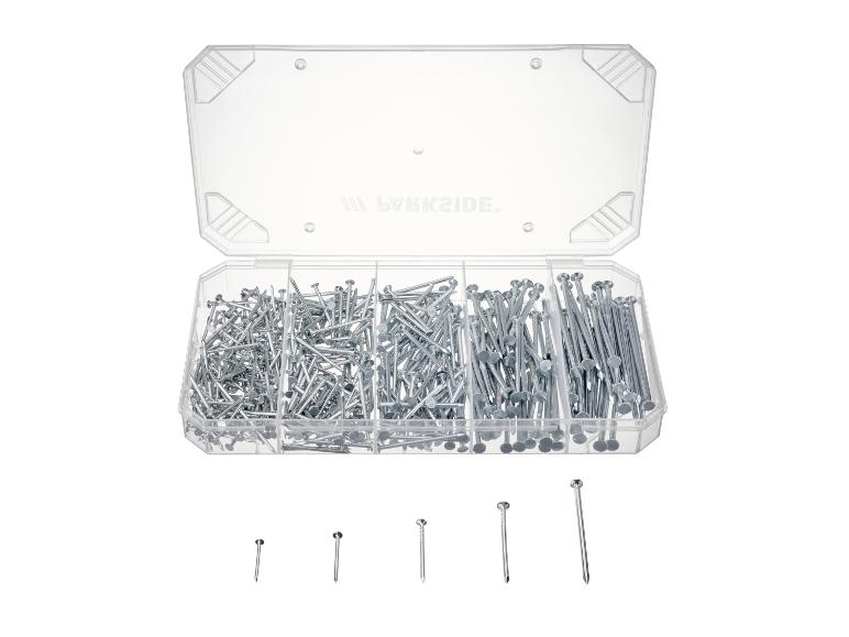 Een transparante opbergdoos met spijkers van verschillende groottes.