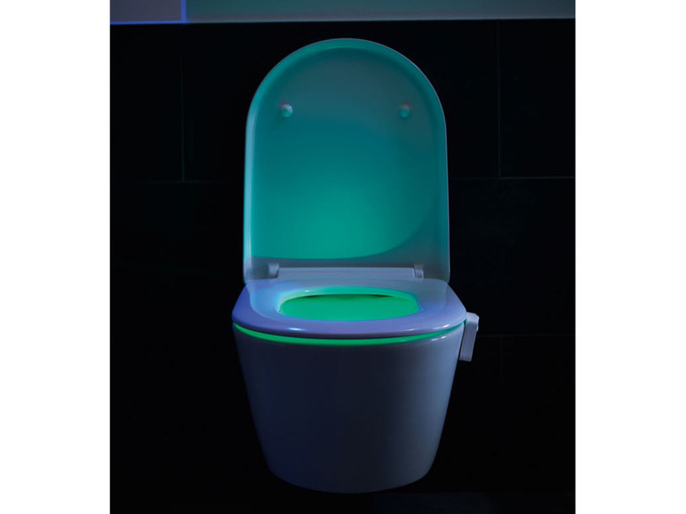 Ga naar volledige schermweergave: LIVARNO home LED-WC-licht - afbeelding 8