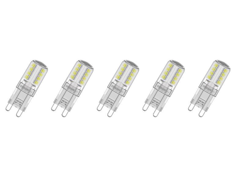 Vijf LED-lampen met twee pinnen