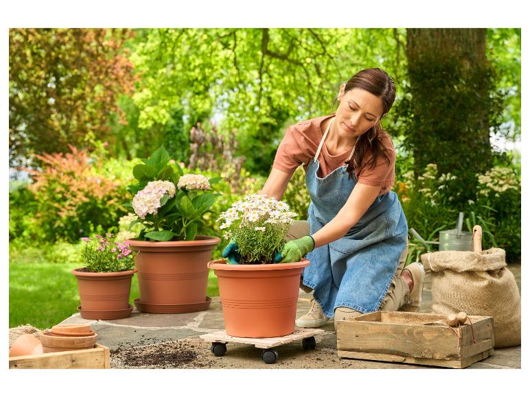 Vrouw plant bloemen in terracotta potten op wielen.