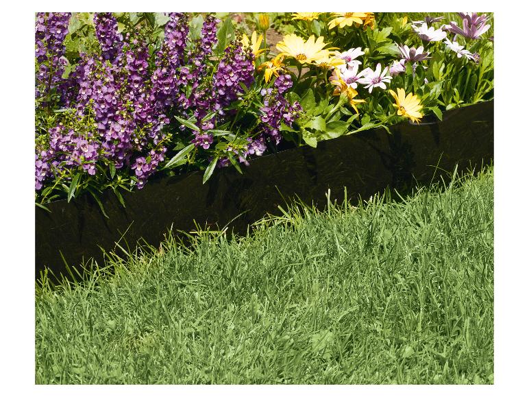 Paarse bloemen en gele madeliefjes, gescheiden door een zwarte rand met gras eronder.