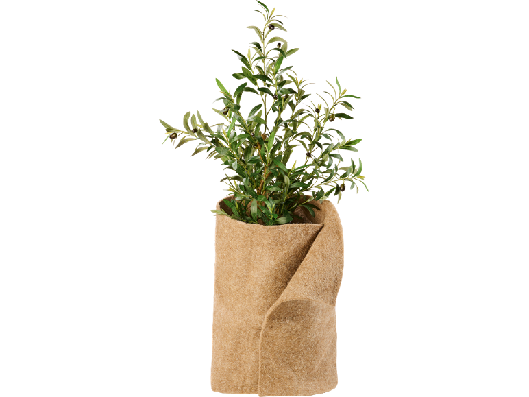 Kunstmatige olijfboom in jute pot.