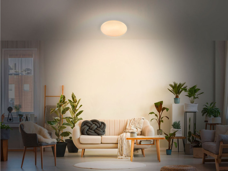 Ga naar volledige schermweergave: LIVARNO home LED-plafondlamp met kleurwisseling - afbeelding 19