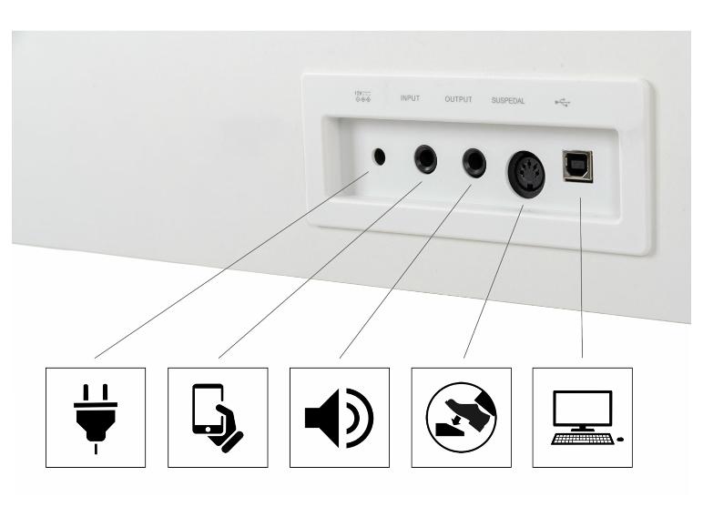 Aansluitingen voor stroom, audio, pedaal en USB op een wit apparaat.