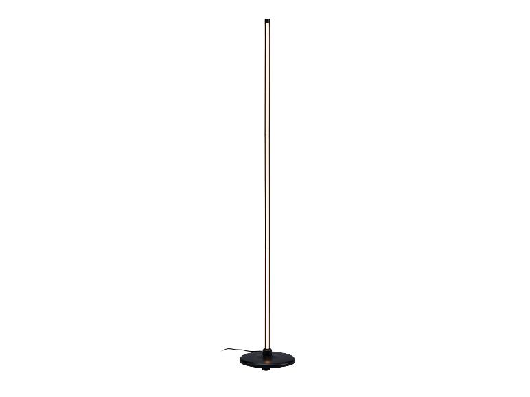 Zwarte vloerlamp met een verticale, verlichte LED-strip en een ronde voet.