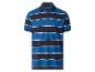 Heren poloshirt met korte mouwen in blauw, marineblauw en wit gestreept
