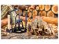 Handmatige houtklover met hamer en brandhout op een houten tafel.