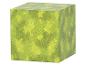 Groene kubus met een bladpatroon, lijkend op camouflage.