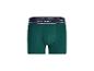 Groene boxershort met marineblauwe elastische tailleband en de tekst 'HAPPY SHORTS'.