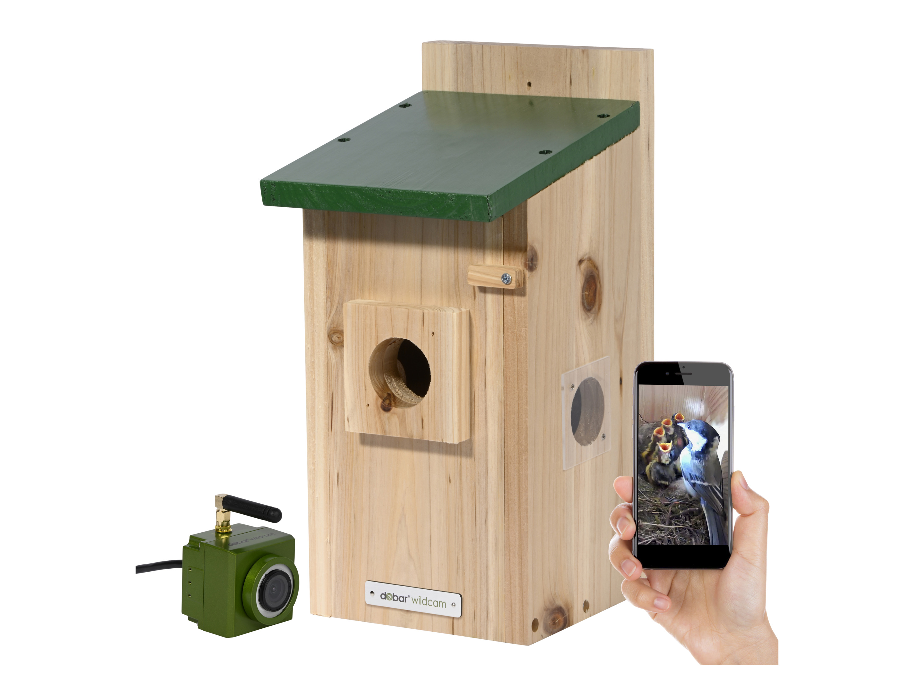 DOBAR Vogelhuisje Eazy, met wifi-camera, groen