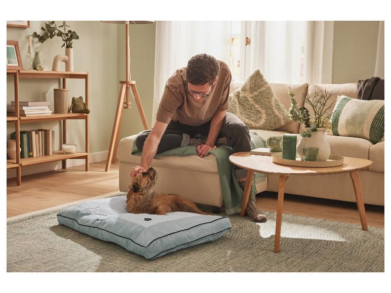 Een man aait zijn hond die op een lichtblauw hondenbed ligt.