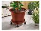 Een grote bruine bloempot met een plant, op een verrijdbare standaard, naast andere planten.