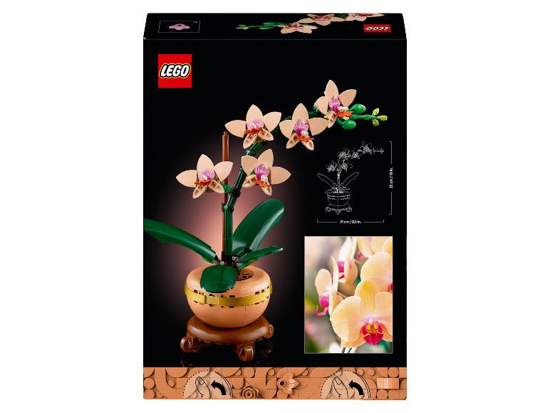 Speelgoedorchidee in pot, 25 cm hoog en 21 cm breed.